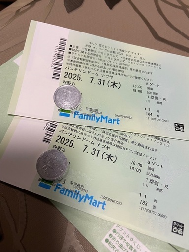 7/31巨人戦　バンテリンドーム　内野Ｓ席連番２枚