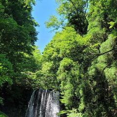 🌻＼今年こそ、自信を持って夏を迎えたい！／🌻そんな方へ