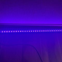 水槽用ライト 水作 60cm水槽用の画像
