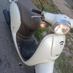 ホンダジョルノaf70現状車の画像