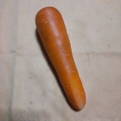 野菜の画像