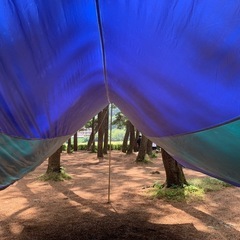 キャンプにもBBQにも使えるタープ！の画像