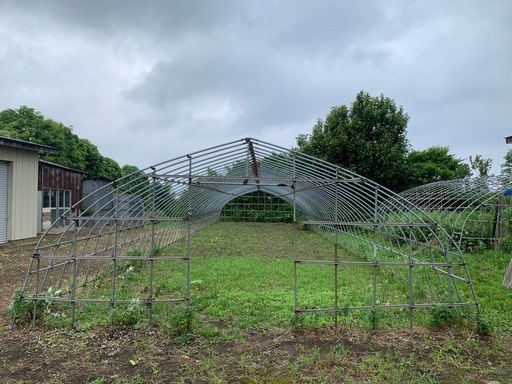 【8/3～6取引してくれる方優先！】ビニールハウス