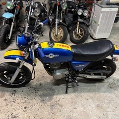 【HONDA エイプ50】AC16 4スト　大人カスタム車両　人気車両　ベース車の画像
