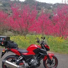 ツーリング仲間を募集します！🏍³₃🏍³₃
