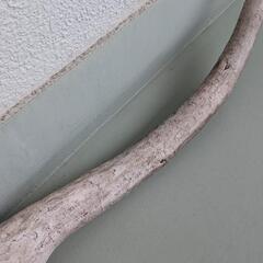 流木の画像