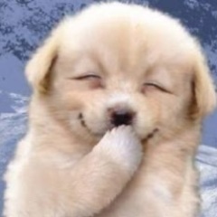 ぼっちです(. .  )友達や知り合い居ません。35歳