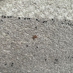 【133×195】ラグマットの画像