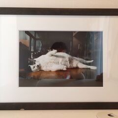 絵画・アート作品 数点まとめて無料で差し上げます（油絵・写真など）の画像