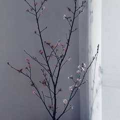 女性の方お友達になってください❕