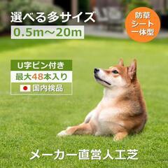 人工芝 ロール ピン付き 国際認定工場 高品質 1×10m ナチュラルグリーンの画像