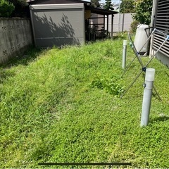 【足立区谷在家】草むしり手伝っていただける方