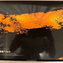 【新品未使用品】iFデザイン賞 受賞製品　腰 サポーター コルセット ヒャユロー 腰ベルト [JIS認証] 姿勢サポーター の画像