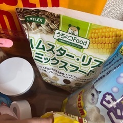 ハムスターセットの画像