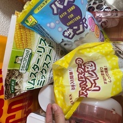 ハムスターセットの画像