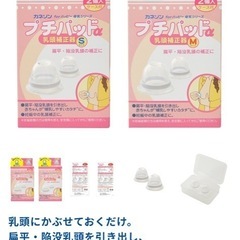 プチパットの画像