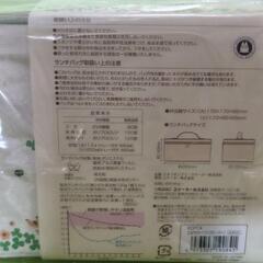保冷バッグ付行楽ランチセット となりのトトロの画像