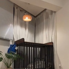 ペット用ゲージ