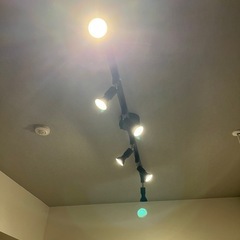 照明の画像