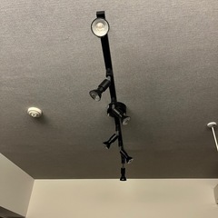 照明の画像
