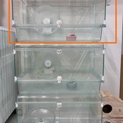 グラスハーモニー450プラスの画像