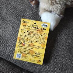 トムとジェリー　トム　ぬいぐるみ　あんてぃーく　BIGの画像