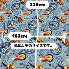 カーズシーツの画像