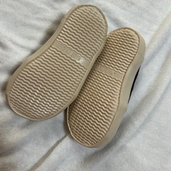 （引き渡し済）すりっぽん　14cmの画像