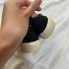 （引き渡し済）すりっぽん　14cmの画像