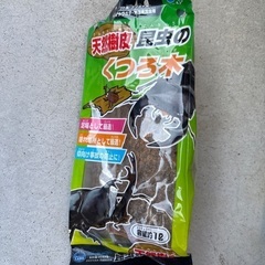 昆虫ゼリーの木3個、昆虫のくつろ木1個　セット　カブトムシ　クワガタ飼育用の画像