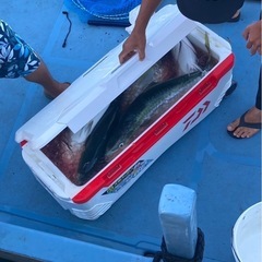 初心者さん大歓迎です。一緒に船釣りしましょう。 − 和歌山県