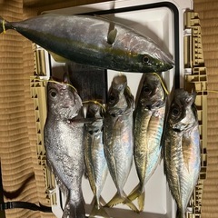 初心者さん大歓迎です。一緒に船釣りしましょう。 - 友達
