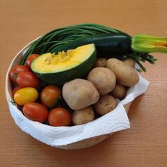 採れたて野菜含む野菜5種類の画像