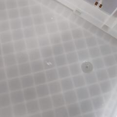 ★受渡し予定者決定★折りたたみコンテナ50L6個セット（TRUSCO5個とLIFELEX1個）の画像