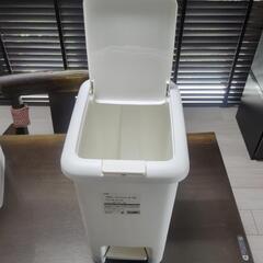 カインズ　ペダル　プッシュゴミ箱　15Lの画像