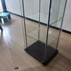 お譲り先決まりました。の画像
