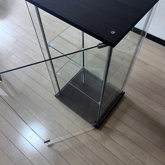 お譲り先決まりました。の画像