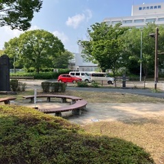 多肉植物(育て方ガイド付き)の画像