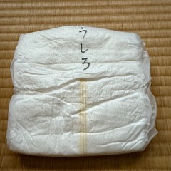 紙パンツ(大人用)の画像