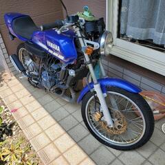 YAMAHAの画像