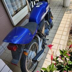 YAMAHAの画像