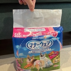 猫グッツまとめ売り オヤツ、キャットフード、身体ケア、トイレセット、マナーウェア の画像