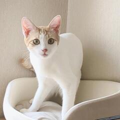 里親さん募集しています！
