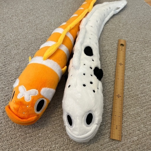 チンアナゴのぬいぐるみ Amazon.co.jp: 内藤デザイン研究所 海中散歩 おともだちビーンズ
