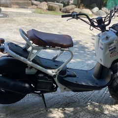 ホンダzoomer の画像