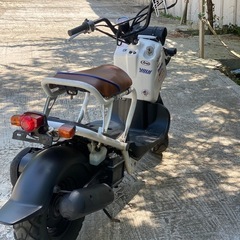 ホンダzoomer の画像