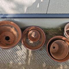 植木鉢各種の画像