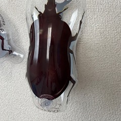 カブトムシ　風船？の画像
