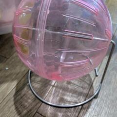 ハムスター用の回し車にもなるお散歩ボールの画像