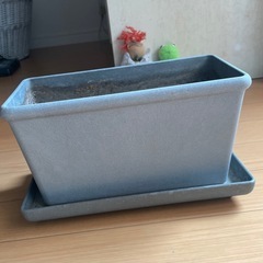 プランター の画像